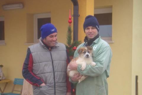 Maciste con nuovi padroni